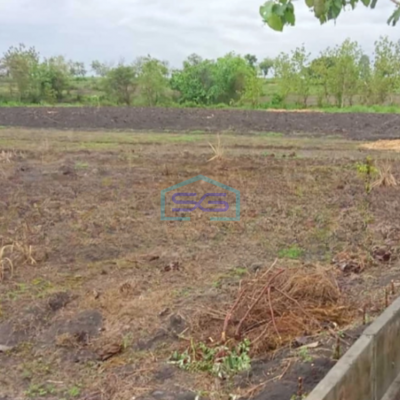 Dijual Tanah Luas 12920 m² Lokasi Bojonegoro