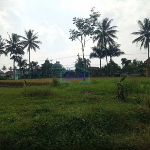 Dijual Tanah Lokasi Strategis di Jl. Brawijaya Sumberpasir Malang-1