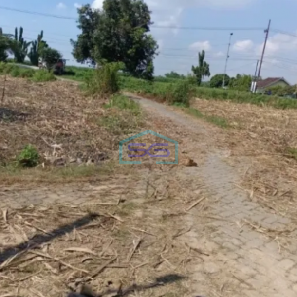 Dijual Tanah LT 270000m2 SHM Krembung Ngoro Mojokerto-2