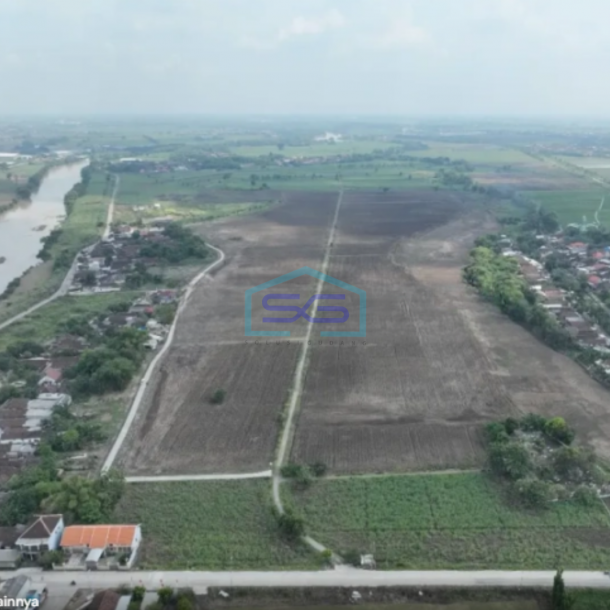 Dijual Tanah LT 270000m2 SHM Krembung Ngoro Mojokerto-1