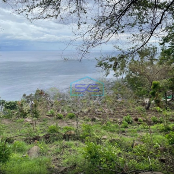 Dijual Tanah Strategis LT 16950m2 SHM di Karangasem Bali-1