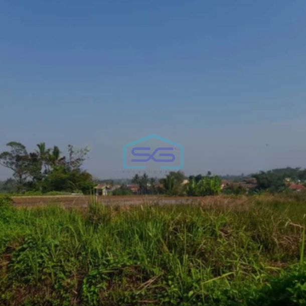 Dijual Tanah Luas 3646m2 di Kampung Salakopi Kabupaten  Sukabumi-1