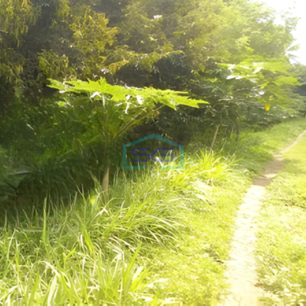 Dijual Tanah Luas 4013m2 SHM di Jl. Mayjend Sungkono Kedungkandang Malang-1