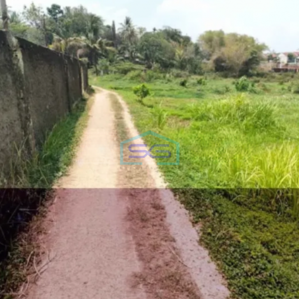 Dijual Tanah Strategis di Desa Ragajaya Bojonggede Bogor Jawa Barat (NEGO) LT 6000m2-3