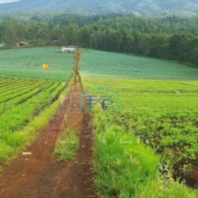 Dijual Tanah Strategis Luas 14,75 Ha di Bukit Jengkoang Bumiaji Batu Jawa Timur