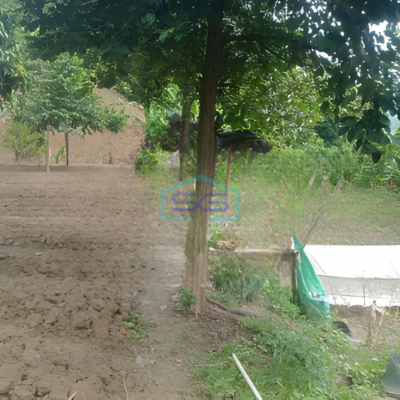 Disewakan Tanah Luas Tanah 1600m2 SHM di Citeureup Bogor