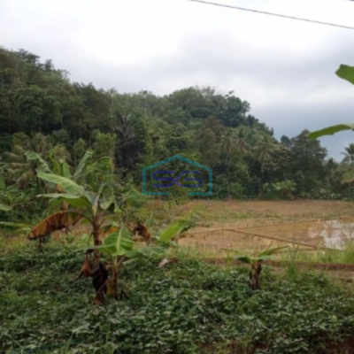 Dijual Tanah Luas 10334m2 SHM di Desa Cisolok Sukabumi Jawa Barat