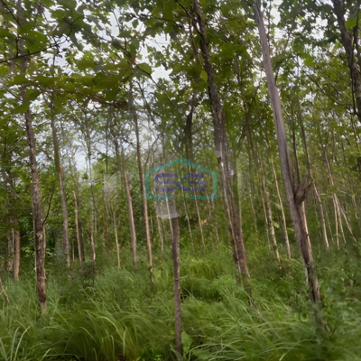 Dijual Tanah di Gunung Kidul Wonosari Kec Ngawen Gunung Kidul Yogyakarta LT 4881m2