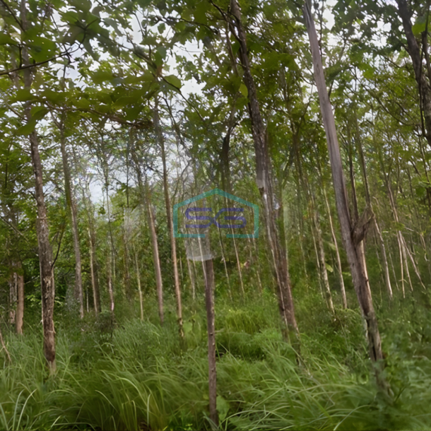 Dijual Tanah di Gunung Kidul Wonosari Kec Ngawen Gunung Kidul Yogyakarta LT 4881m2-1