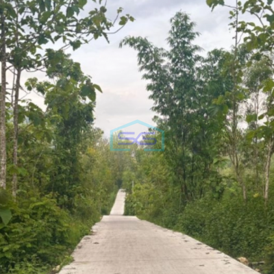 Dijual Tanah di Gunung Kidul Wonosari Kec Ngawen Gunung Kidul Yogyakarta LT 4881m2