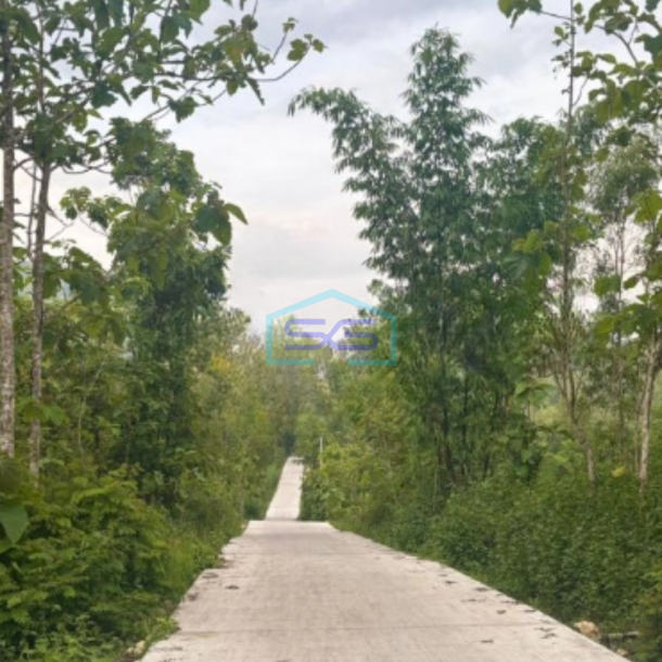 Dijual Tanah di Gunung Kidul Wonosari Kec Ngawen Gunung Kidul Yogyakarta LT 4881m2-3