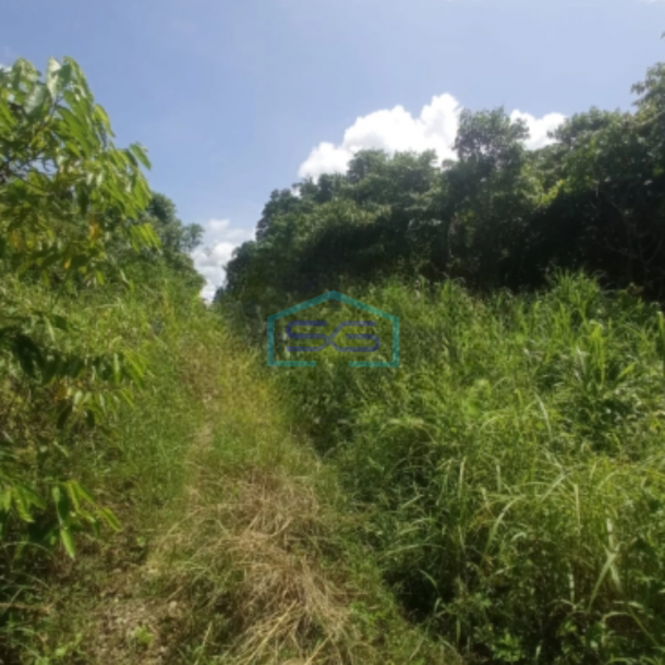 Dijual Tanah di Desa Asyaman Keerom Papua Luas Tanah 10.000m²-1