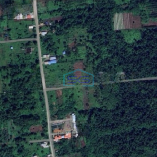 Dijual Tanah di Desa Asyaman Keerom Papua Luas Tanah 10.000m²-2