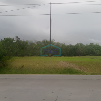 Dijual Tanah SHM LT 10445 m² di Jl. Raya Padangan Ngawi Bojonegoro Jawa Timur