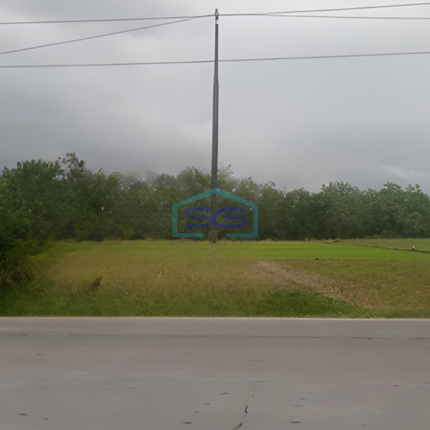 Dijual Tanah SHM LT 10445 m² di Jl. Raya Padangan Ngawi Bojonegoro Jawa Timur-1