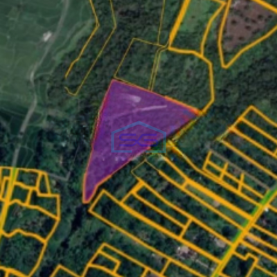Dijual Tanah Luas 25000m2 SHM di Timbuk Tegallalang Gianyar Bali