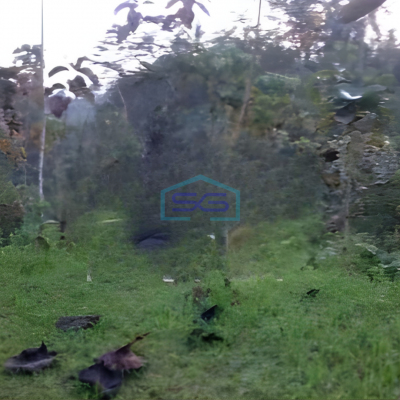 Dijual Tanah Luas 25000m2 SHM di Timbuk Tegallalang Gianyar Bali