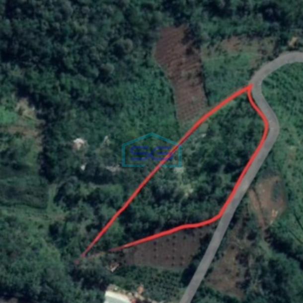 Dijual Tanah Luas 3025m2 SHM di Dalisodo Wagir Kabupaten Malang-2