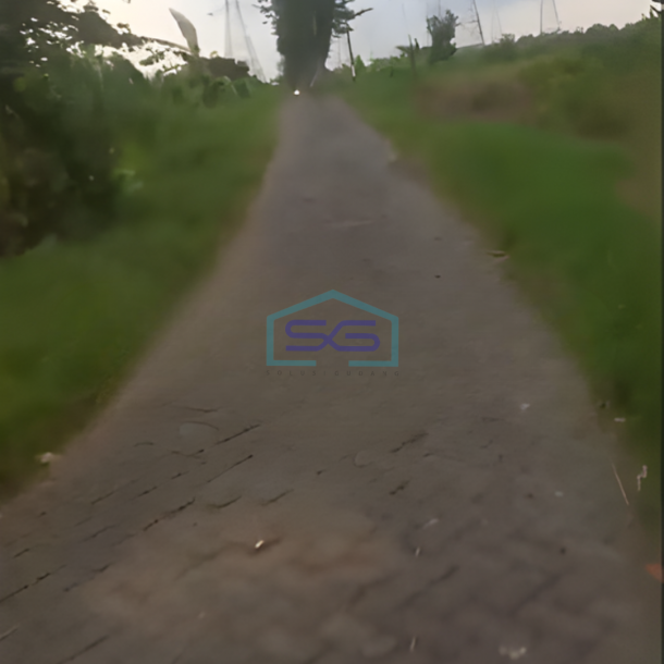 Dijual Tanah Luas Tanah 3000m2 SHM Winongan Pasuruan Jawa Timur-1