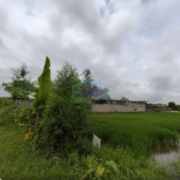 Dijual Tanah Luas 1225m2 SHM di Jamusan Prambanan Sleman Yogyakarta-2