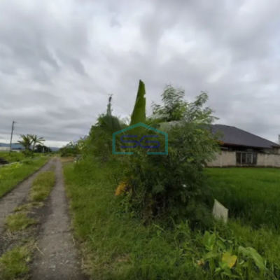 Dijual Tanah Luas 1225m2 SHM di Jamusan Prambanan Sleman Yogyakarta