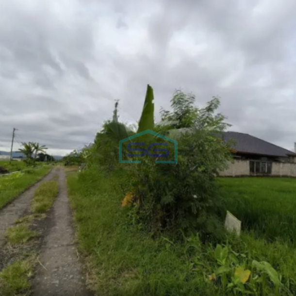 Dijual Tanah Luas 1225m2 SHM di Jamusan Prambanan Sleman Yogyakarta-1