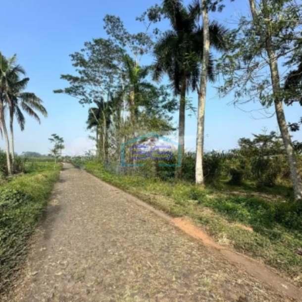 Dijual Tanah Luas 7320m2 SHM Lokasi di Pakisaji Malang-3