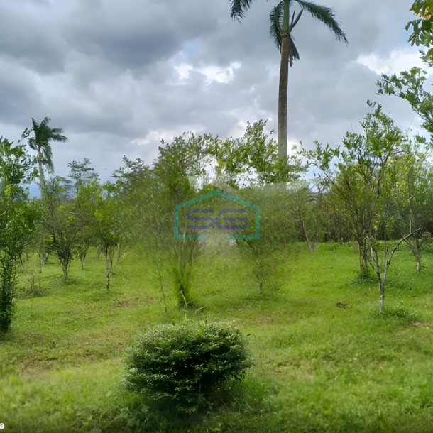 Dijual Tanah Luas 7320m2 SHM Lokasi di Pakisaji Malang-2