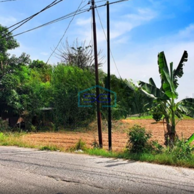 Dijual Tanah Luas 2478m2 SHM Jl. Raya Ps Babelan Bekasi