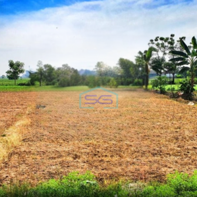 Dijual Tanah Luas 2478m2 SHM Jl. Raya Ps Babelan Bekasi