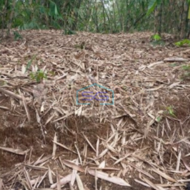 Dijual Tanah Strategis SHM Luas 1000m2 di Bojongmanggu Bekasi-1