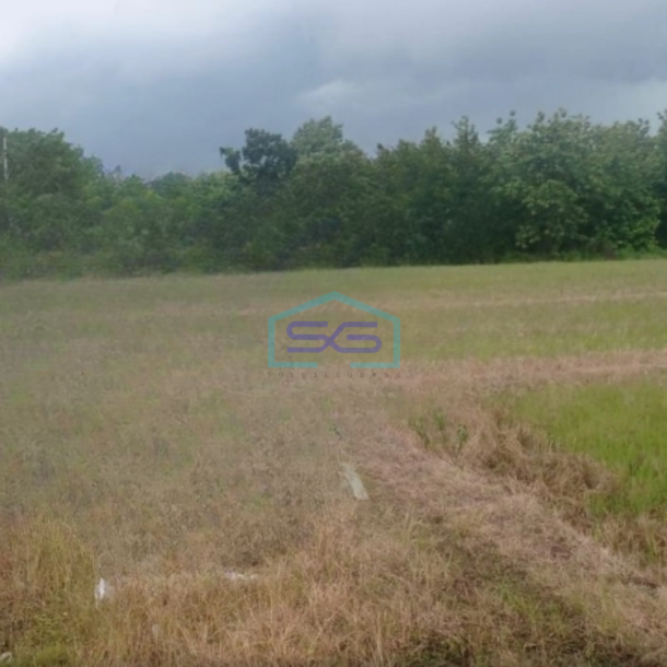 Dijual Tanah Luas 10445 m² Lokasi Bojonegoro Jawa Timur-1