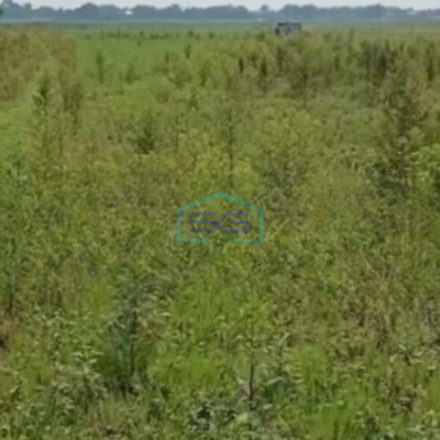 Dijual Tanah Luas 3090 m² Lokasi Strategis di Padangan Bojonegoro