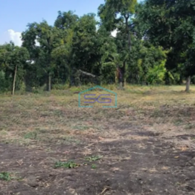 Dijual Tanah Luas 33453 m² Lokasi Beji Pasuruan Jawa Timur