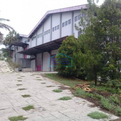 Disewakan Gudang Bagus di Jalan Raya Cangkiran Mijen, Semarang Luas 4000m2-3