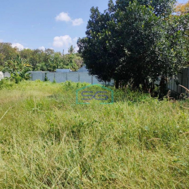 Disewakan Gudang Lokasi Strategis Jalan Pemuda Jalan Raya Pantura Brebes LT 3200m2-2