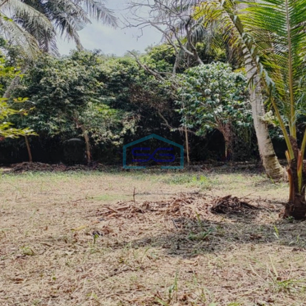 Dijual Tanah Kavling Bonus Bangunan Gudang Di Legok Tangerang LT 2527m2-4