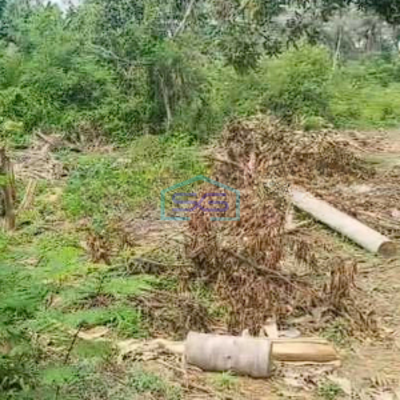 Dijual Tanah Teluk Naga Tangerang Padat Pinggir Jalan Raya Akses Kontainer 40 Feet LT 4265m2