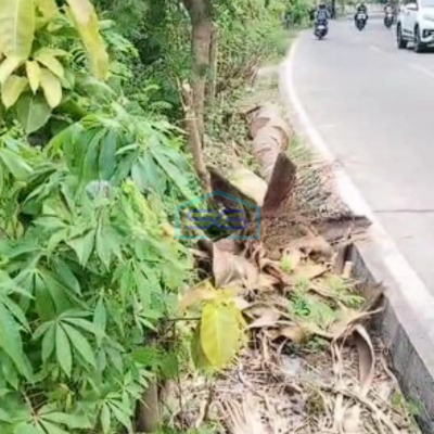 Dijual Tanah Teluk Naga Tangerang Padat Pinggir Jalan Raya Akses Kontainer 40 Feet LT 4265m2