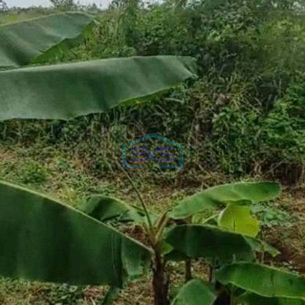 Dijual Cepat Tanah Lahan Industri Luas 2,5 Ha Di Pasar Kemis Tangerang-1