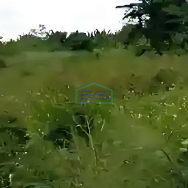 Dijual Tanah Lokasi Strategis Luas Tanah  10000 m² di Legok Tangerang-2