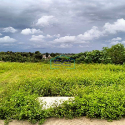 Dijual Tanah Luas 170000 m² Lokasi Strategis di Tigaraksa Tangerang