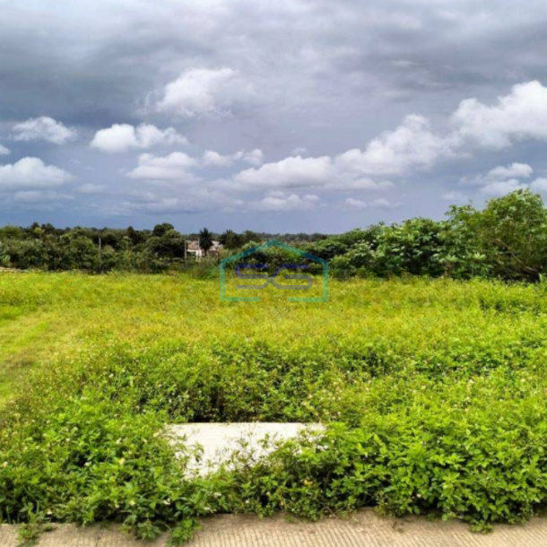 Dijual Tanah Luas 170000 m² Lokasi Strategis di Tigaraksa Tangerang-1