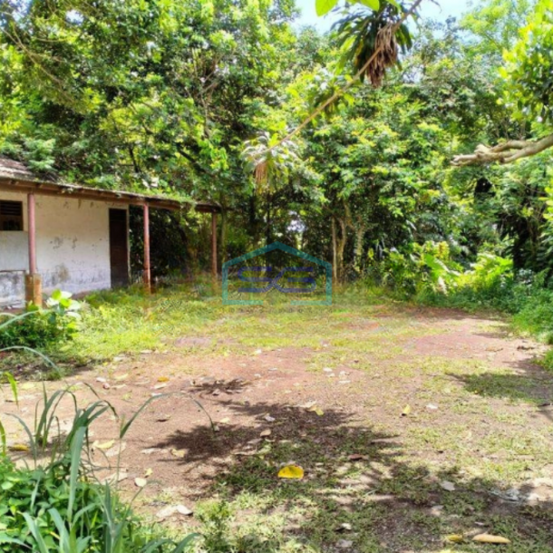 Dijual Tanah Luas  8229 m² Lokasi Strategis di Pinggir Jalan Serpong Tangerang Selatan-1