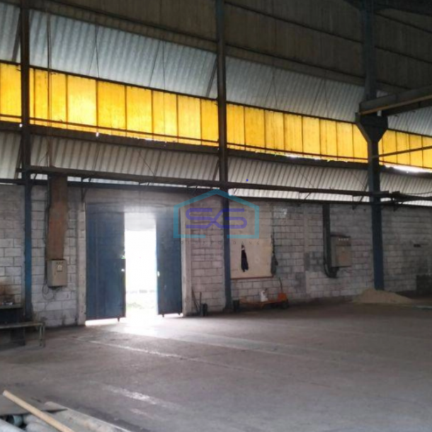 Disewakan Gudang Bagus Luas Tanah  8000 m² di Balaraja Tangerang-1