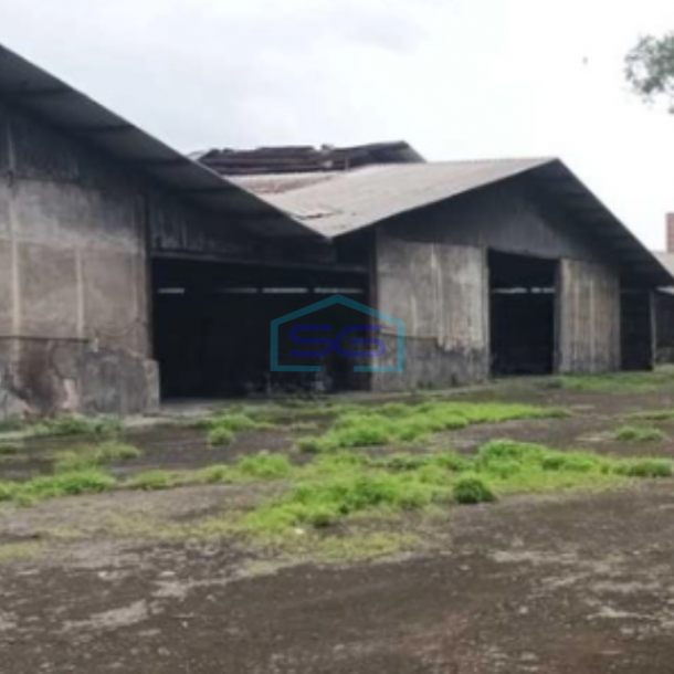 Disewakan Gudang Industri Dekat Bsd City Di Parung Panjang Bogor LB 1400m2-1