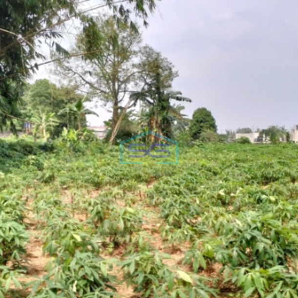 Dijual Tanah Bagus Strategis Di Tajur Halang Bogor Bebas Banjir-3