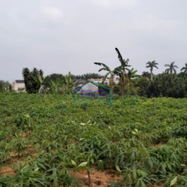 Dijual Tanah Bagus Strategis Di Tajur Halang Bogor Bebas Banjir-2