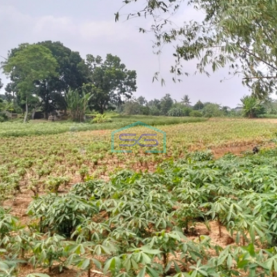 Dijual Tanah Bagus Strategis Di Tajur Halang Bogor Bebas Banjir