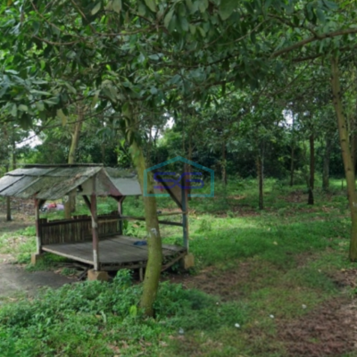 Dijual Tanah Strategis Untuk Industri Luas 12 Hektar Di Rangkasbitung Lebak Banten